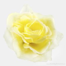 13cm or 5 Inch Yellow French Rose
